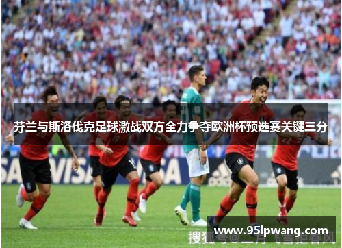芬兰与斯洛伐克足球激战双方全力争夺欧洲杯预选赛关键三分